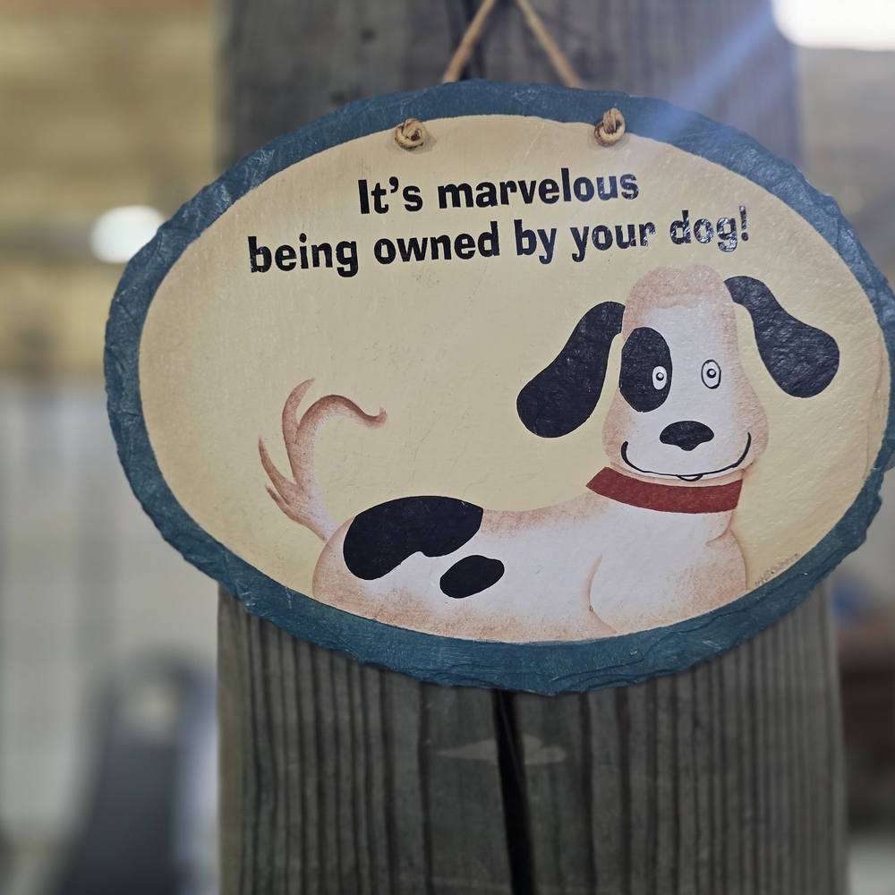 It's Marvelous Being Owned By Your Dog", Charming, Slate,Wall Sign